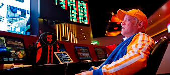 Вход на официальный сайт Casino Starda